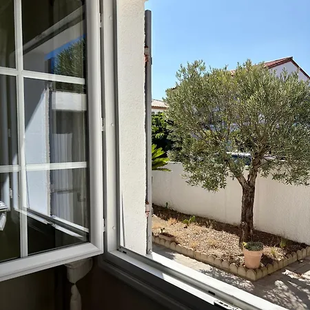 Familiale, Piscine A 100 M De La - 8albau26 Le Barcarès